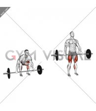 Barbell Mixed grip Deadlift (male)