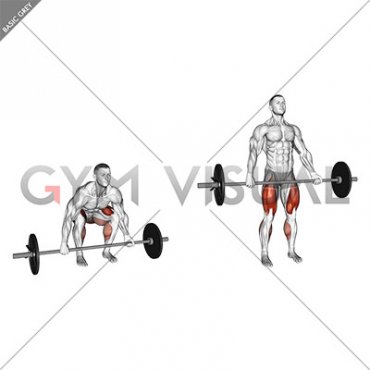 Barbell Mixed grip Deadlift (male)