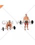 Barbell Mixed grip Deadlift (male)