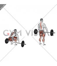 Barbell Hook grip Deadlift (male)