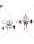 Barbell Snatch grip Deadlift (male)