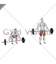 Barbell Snatch grip Deadlift (male)