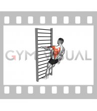 Bodyweight Standing Close grip One Arm Row