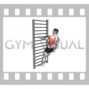 Bodyweight Standing Close grip One Arm Row