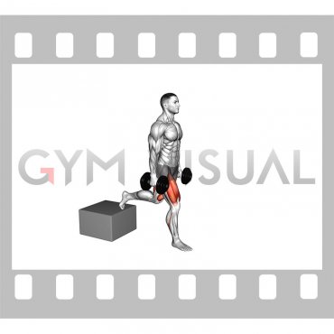 Dumbbell Single Leg Split Squat with Low Box