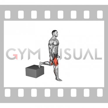 Band Single Leg Split Squat with Low Box