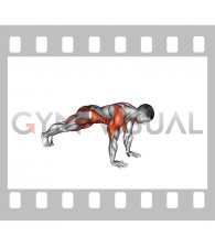 Mountain Climber and Dynamic Plank (male)