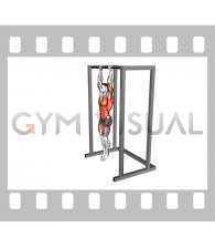 Hanging Front Lever Raise (male)