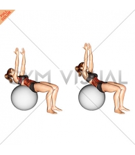 Crunch (on stability ball, arms straight)