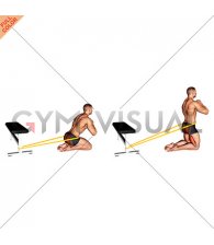 Resistance Band Hip Thrusts on Knees (male)