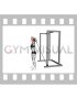 Band Overhead Single Arm Triceps Extension (female)
