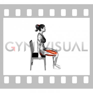 Seated Knee to Nose Stretch (female)