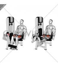 Lever Leg Extension (plate loaded)