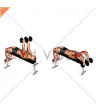Dumbbell Decline Triceps Extension