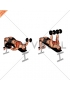 Dumbbell Decline Twist Fly