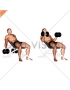 Dumbbell Incline Biceps Curl