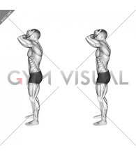 Front and Back Neck Stretch