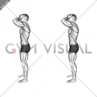 Front and Back Neck Stretch