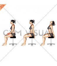 Sitting Scapular Adduction (female)