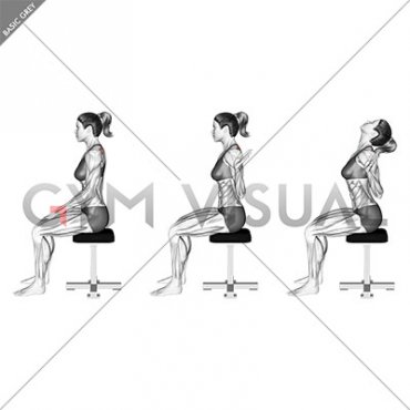 Sitting Scapular Adduction (VERSION 2) (female)