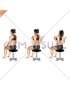 Sitting Scapular Adduction (VERSION 2) (female)