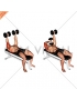 Dumbbell Lying  Extension (across face)