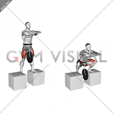 Weighted Full Squat from Deficit (male)