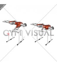 Planche Dip on Parallel Bars (male)