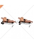 Dumbbell Lying Pronation