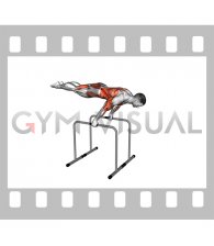 Planche Dip on Parallel Bars (male)