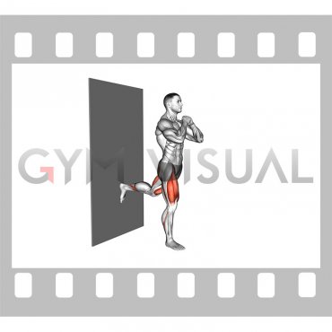 Split Squat against Wall (male)