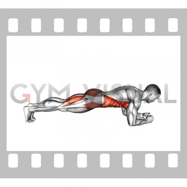 Low Plank Leg Raise (male)