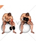 Dumbbell One Arm Concetration Curl (on stability ball)