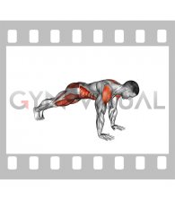 Double Plank Jack to 4 Mountain Climber (male)