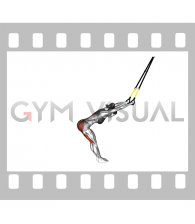 Suspender Hyperextension (female)