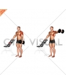 Dumbbell One Arm Lateral Raise with support