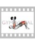 Dumbbell Glute Bridge Skull Crusher (male)