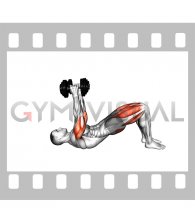 Dumbbell Glute Bridge Skull Crusher (male)