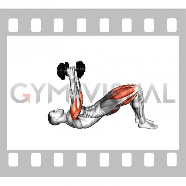 Dumbbell Glute Bridge Skull Crusher (male)