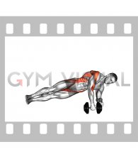 Dumbbell Side Plank Row (male)