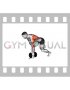 Dumbbell Split Stance Bent Over Row (male)