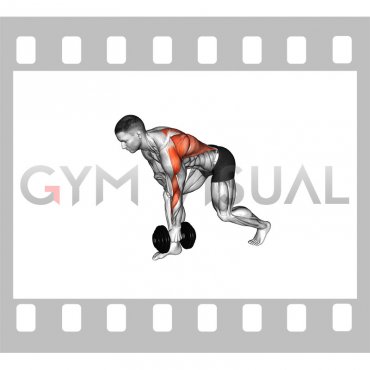 Dumbbell Split Stance Bent Over Row (male)