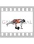 Dumbbell Plank Row (male)