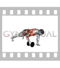 Dumbbell Plank Row (male)