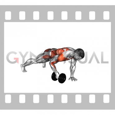 Dumbbell Plank Row (male)