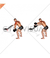 Dumbbell One Arm Reverse Fly (with support)