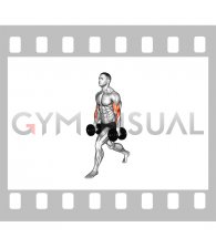 Dumbbell Split Stance Biceps Curl (male)