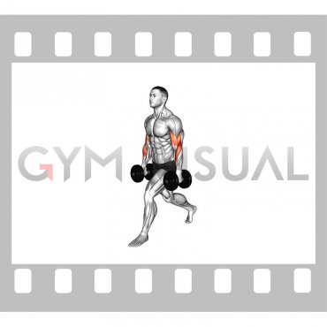 Dumbbell Split Stance Biceps Curl (male)