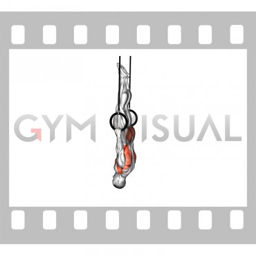 Ring Front Lever (male)