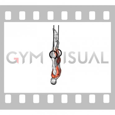 Ring Back Lever (male)